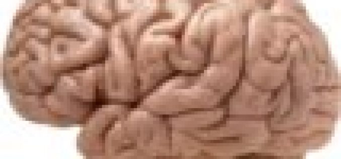 Israeli scientists discover way to block spread of brain cancer