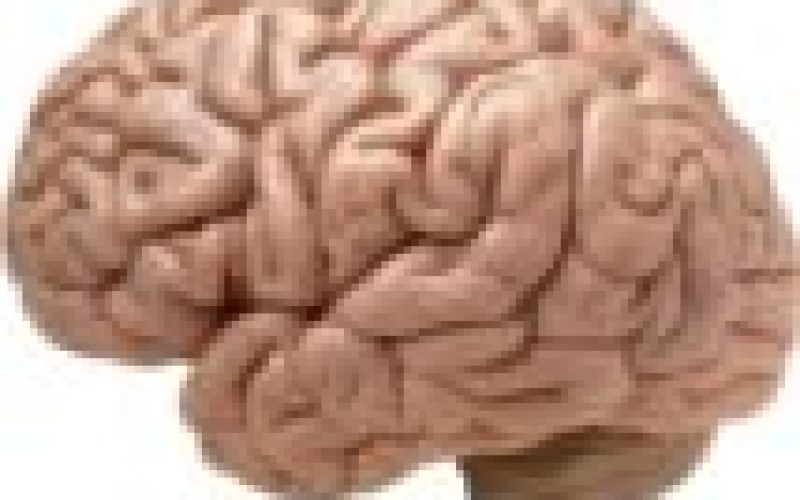 Israeli scientists discover way to block spread of brain cancer