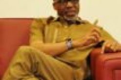 Buhari, APC govt leading Nigeria to precipice ― Sen Abaribe