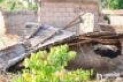 Scores rendered homeless as rainstorm wrecks havoc in Ondo community