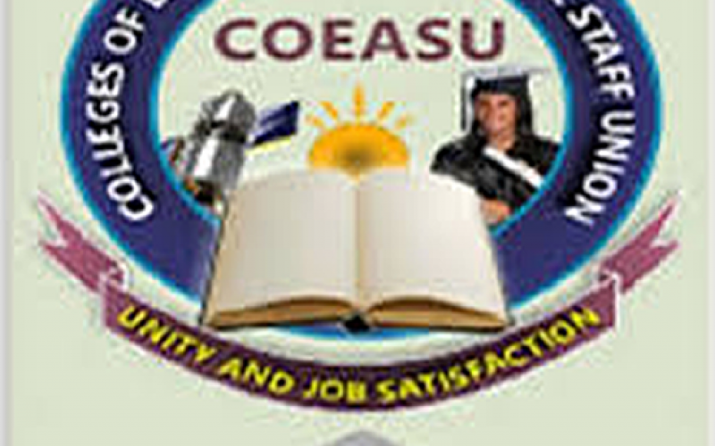 COEASU warning strike: We’re on top of situation — FCE Bichi Provost