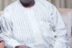 The search for food security needs a hands-on and coherent approach — Arc Kabir Ibrahim