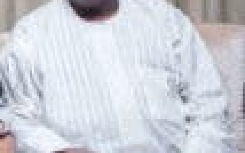 The search for food security needs a hands-on and coherent approach — Arc Kabir Ibrahim