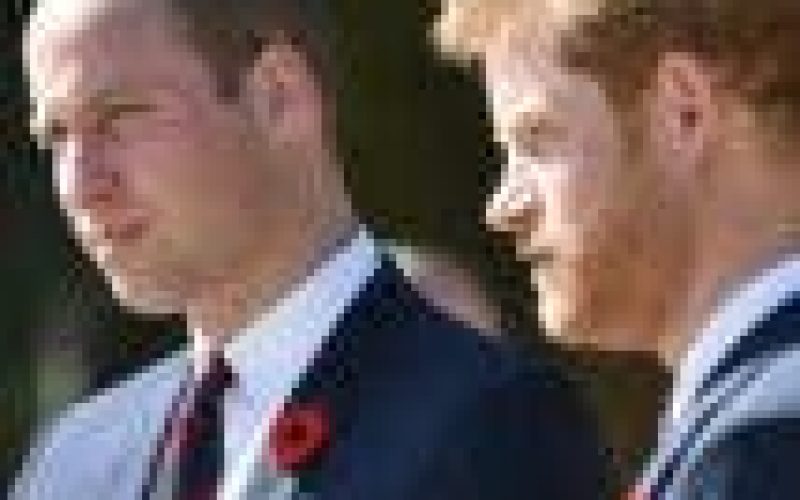 Princes William and Harry pay tribute to grandfather Prince Philip