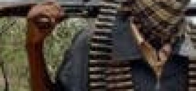 Kaduna: Bandits kill four, injure one in Igabi local government area