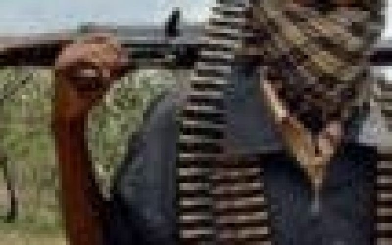 Kaduna: Bandits kill four, injure one in Igabi local government area