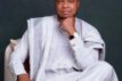 No Twitter, No Shoprite, Buhari-led govt failing to lure foreign investors ― Aderinokun