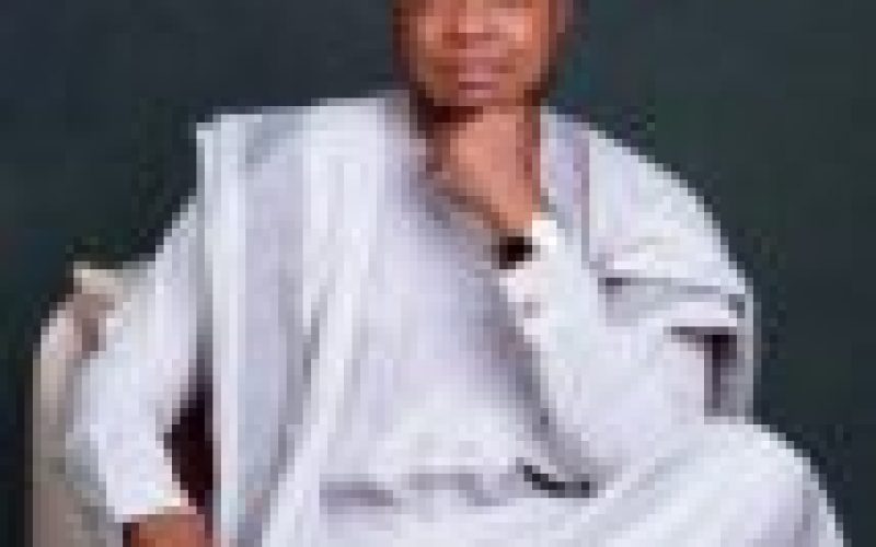 No Twitter, No Shoprite, Buhari-led govt failing to lure foreign investors ― Aderinokun