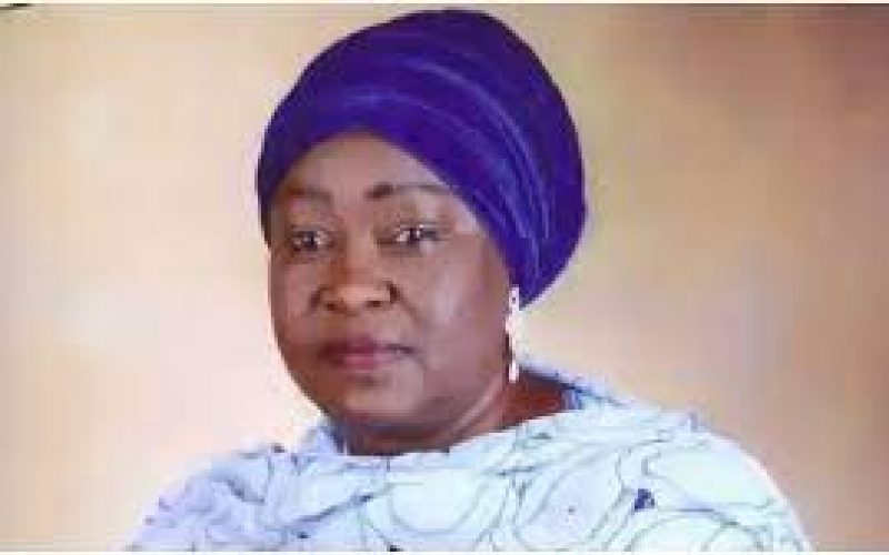FG appoints new DG for National Center for women development