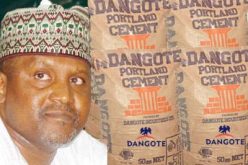 Our cement price is lower in Nigeria than other countries — Dangote