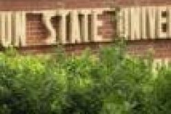 UNIOSUN rejects students below 16 years offered admission