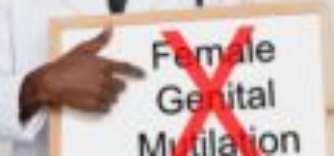 31 communities in Imo declare end female genital mutilation