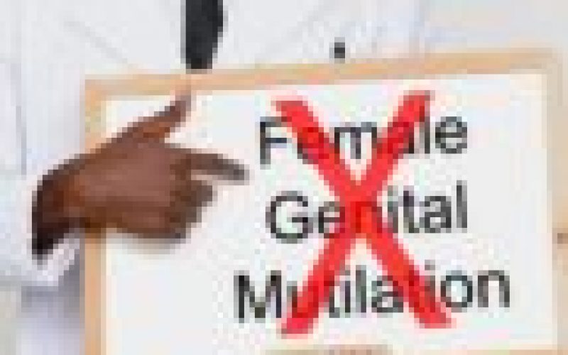 31 communities in Imo declare end female genital mutilation