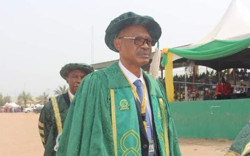 Okpara varsity to begin commercial farming – New VC