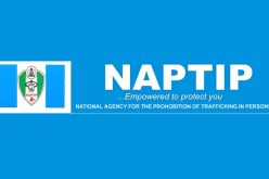 NAPTIP: Federal civil servant,3 others arrested in Bayelsa over sale of babies
