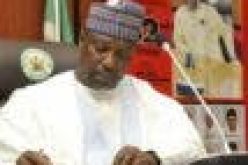 Niger governor presents appointment letter to new Emir of Kagara