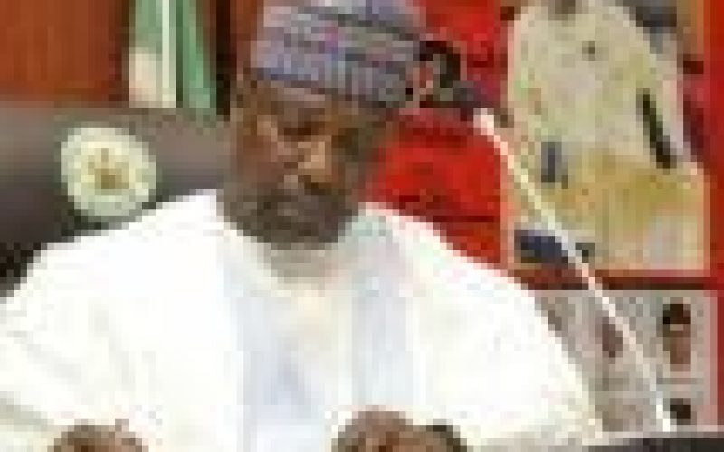 Niger governor presents appointment letter to new Emir of Kagara