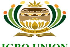 Igbo in America condemn rising insecurity in Nigeria 