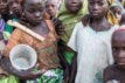  FG, EU, others develop education curriculum for out-of-school children