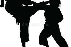 Lagos judo organizes seminar for women
