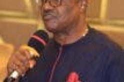 ‘Hunting for ESN personnel in S’East while bandits sack northern communities, curious’, says former ECOWAS speaker 