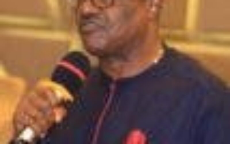 ‘Hunting for ESN personnel in S’East while bandits sack northern communities, curious’, says former ECOWAS speaker 