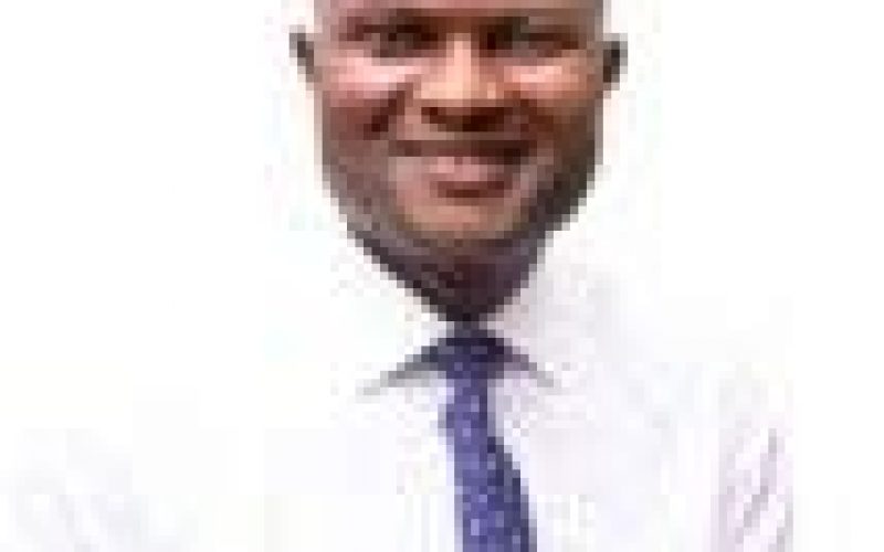 Nigeria: Why Rep caucus support Southern Governors position –  Idahosa