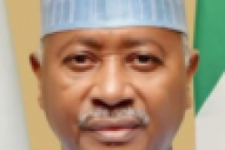 PEF: FG considers bridging payment for gas transportation
