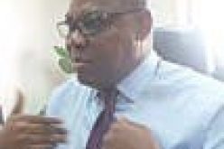 Devolution of power not the answer, let’s address poverty, Olisa Agbakoba says