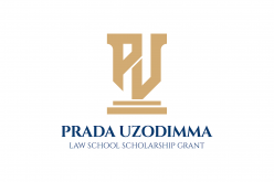 Uzodimma scholarship grant opens application portal