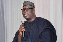 Ojudu flays removal of Ekiti APC ward chairman