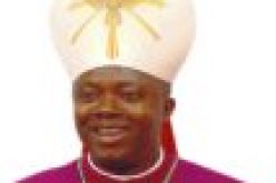 Pray for Church vandals, Enugu Bishop charges Diocesans