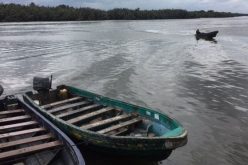 30 dead bodies recovered from Niger boat mishap, 65 rescued alive