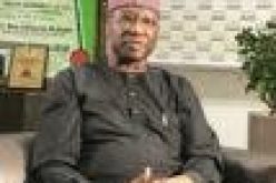 Disregard invitation to submit CVs for appointment, SGF tells Nigerians