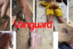 Two dead, 10 injured as smugglers attack Customs officers in Ogun