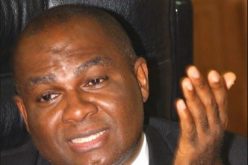 INSECURITY: Buhari talking about symptoms, signs of diseased Nation ― Nnamani