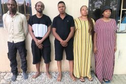 NDLEA smashes  online drug  trafficking  cartel , arrests  5 in Abuja