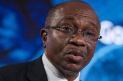Emefiele seeks PPP model to improve healthcare infrastructure