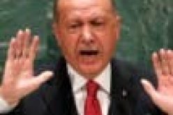 Israel/Palestine tension: Don’t drag Nigeria into your mess — Fani-Kayode tells Erdogan