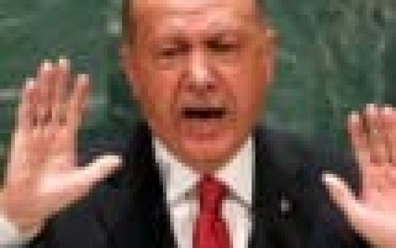 Israel/Palestine tension: Don’t drag Nigeria into your mess — Fani-Kayode tells Erdogan