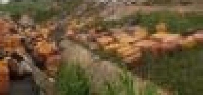8 dead, 36 injured in truck accident in Osun