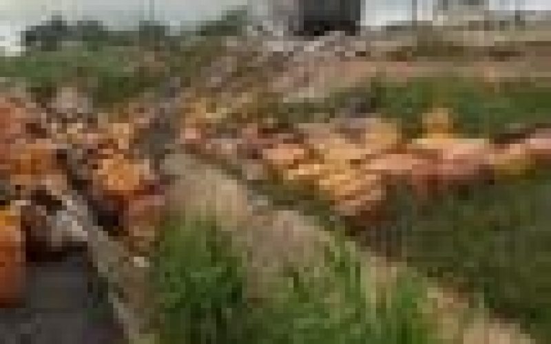 8 dead, 36 injured in truck accident in Osun