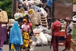 Amotekun evicts another 137 northerners from Ondo forest