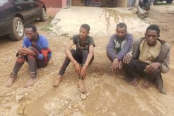 We abducted those taking shelter from the rain at the bus stop after we missed our target — Suspect