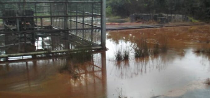 Fresh oil spill hits Bayelsa community