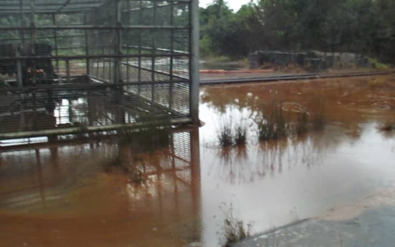 Fresh oil spill hits Bayelsa community