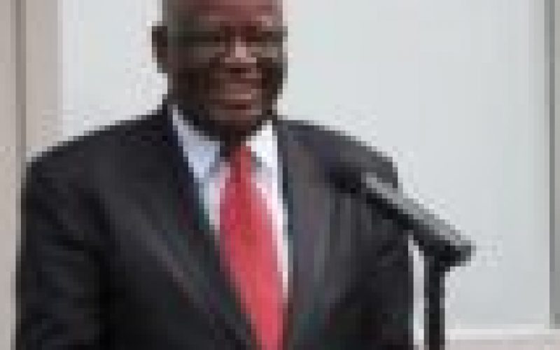 How Ibrahim Gambari runs Aso Villa