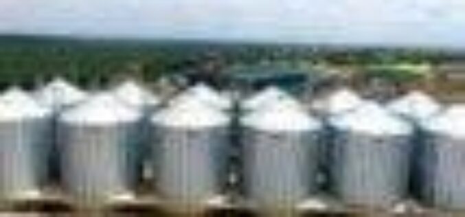 Lagos expends N20bn on Imota Rice Mill ― Commissioner