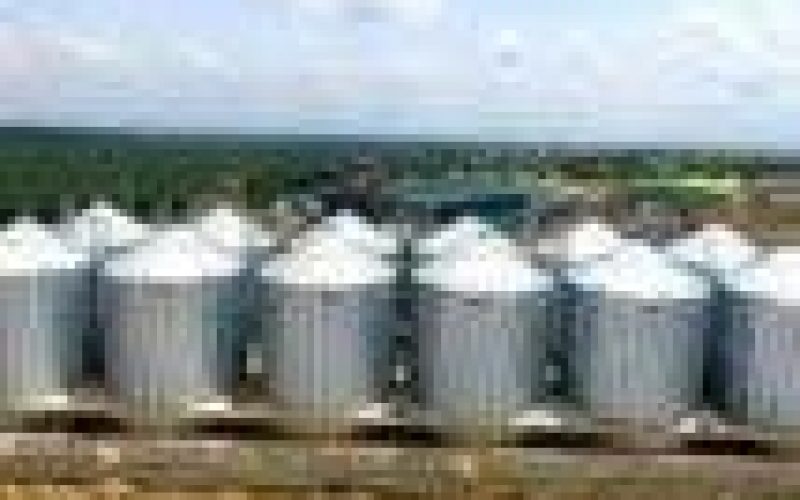 Lagos expends N20bn on Imota Rice Mill ― Commissioner