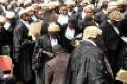 NMLA advocates training of young maritime lawyers 